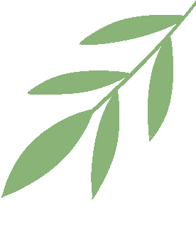 云南省中医医院