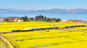 昆明信息港微博