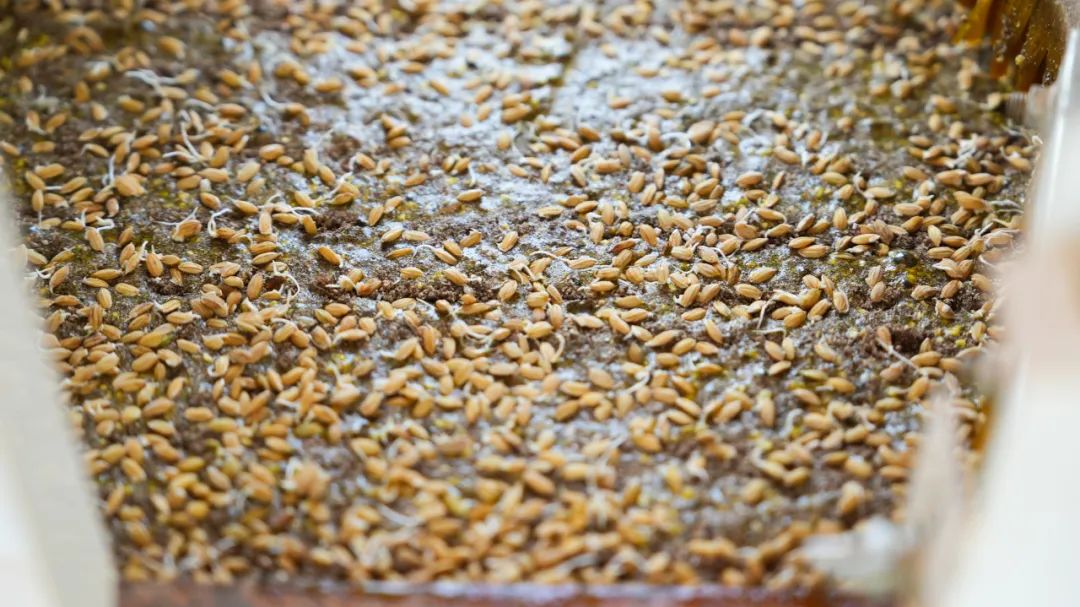 晋宁 诗意的栖居地