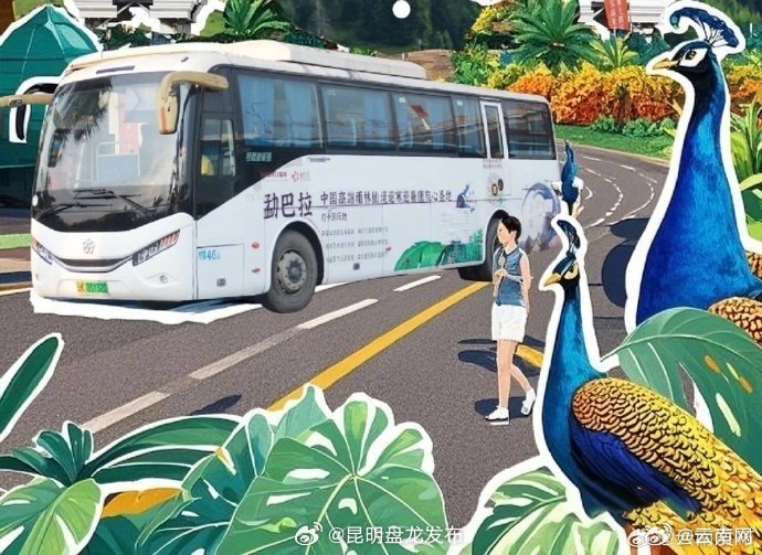 勐巴拉景区直通车免费乘坐