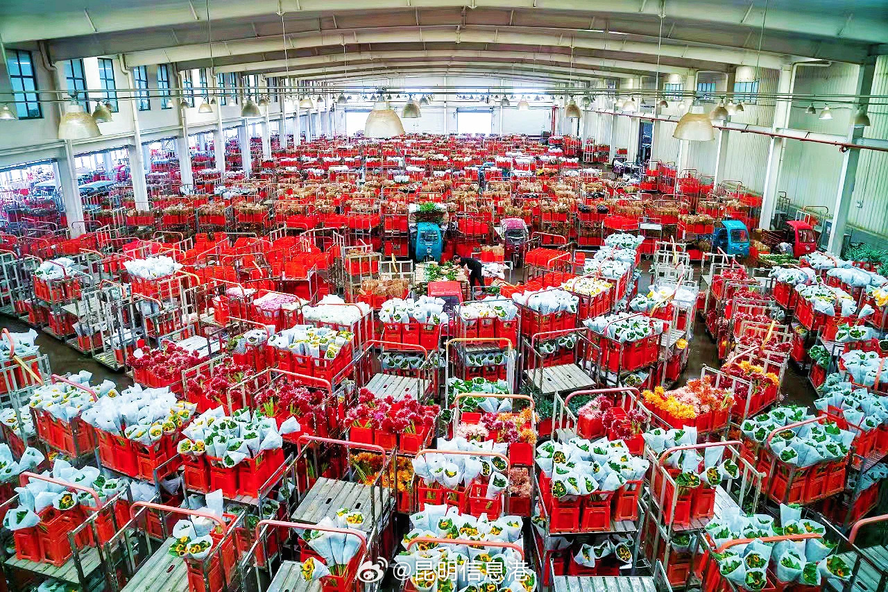 昆明信息港微博