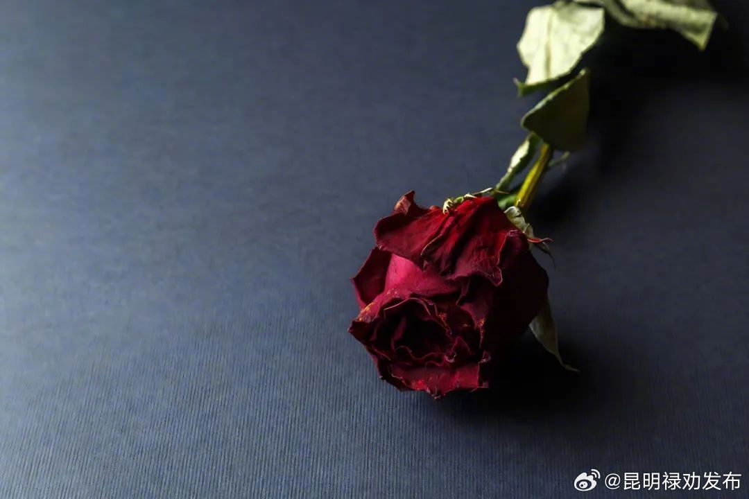 气血足的人大多有5个习惯