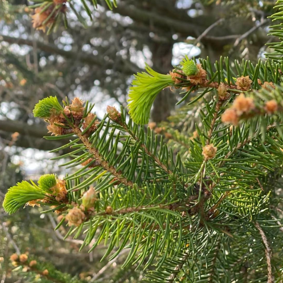 昆明市中医医院