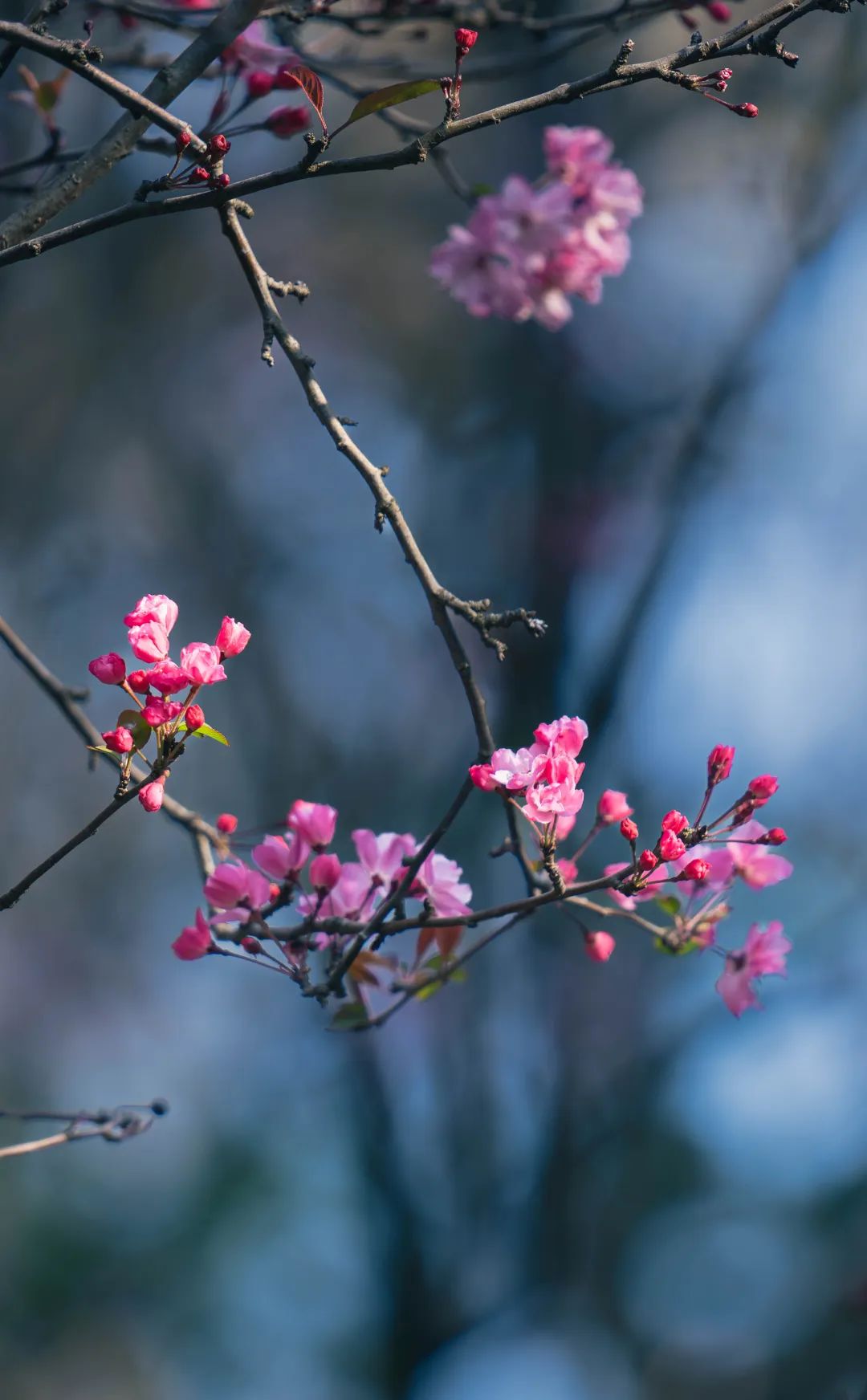 晋宁 诗意的栖居地