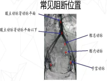 景谷人民医院