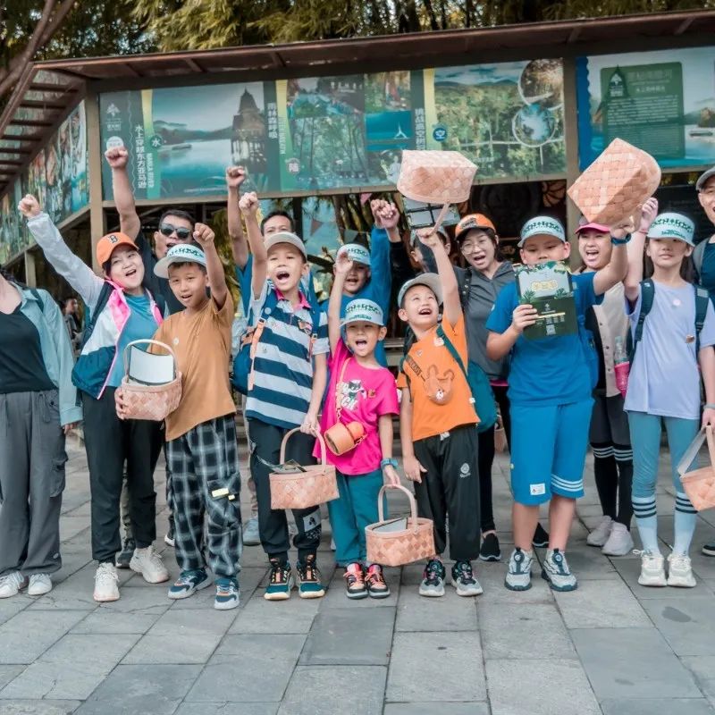 西双版纳望天树景区