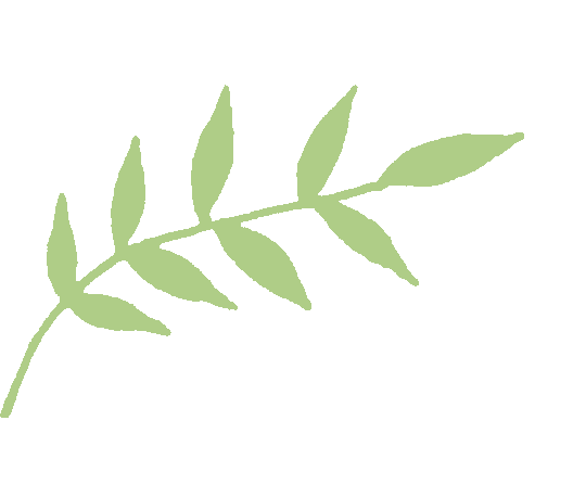 云南省中医医院