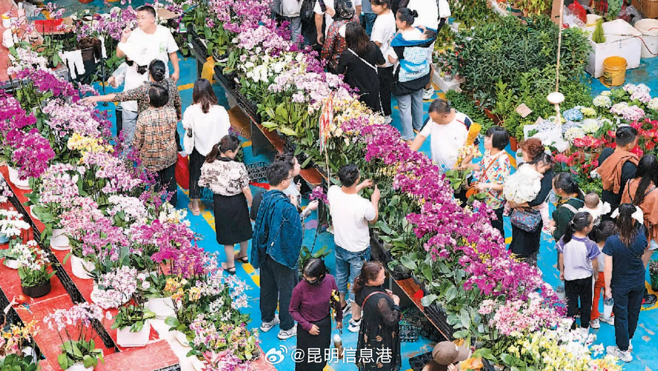 昆明信息港微博