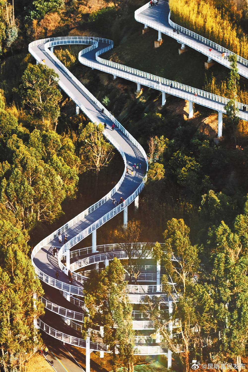 昆明：蓄力向上生长——“县域潮涌 春城向上”系列报道