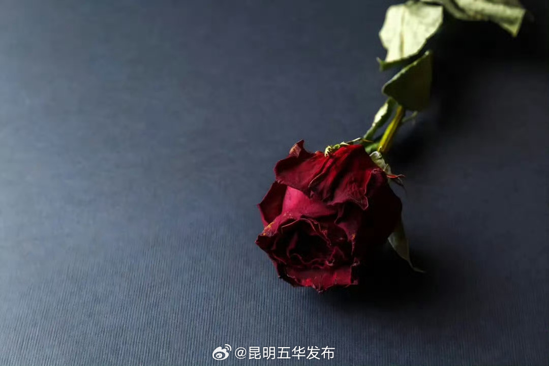 医生说补气血是有顺序的 