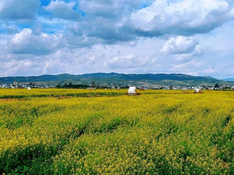 红河文旅