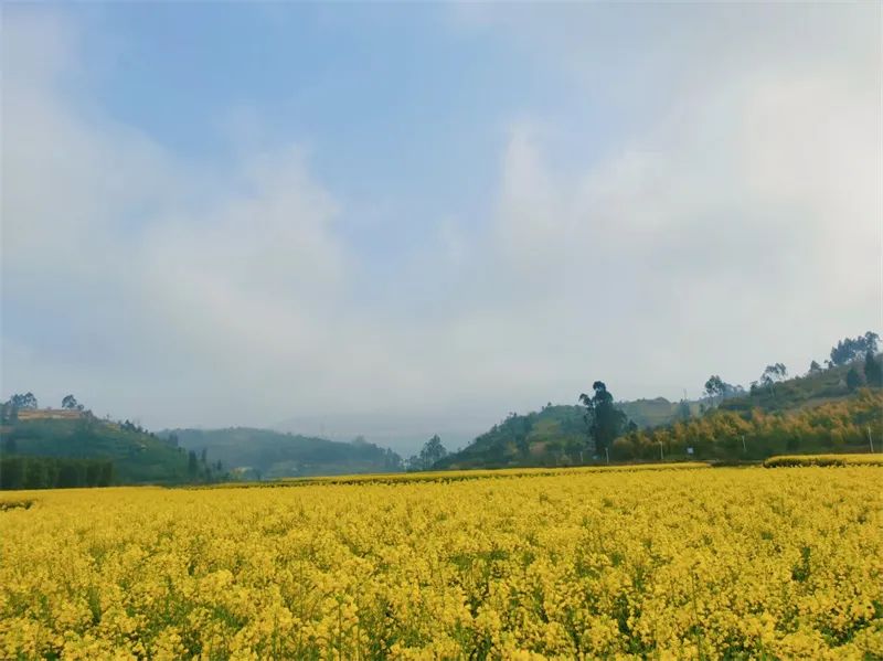 红河文旅
