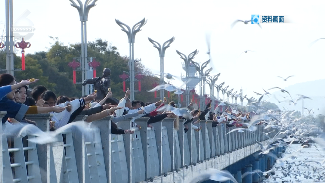 昆明公共文化云