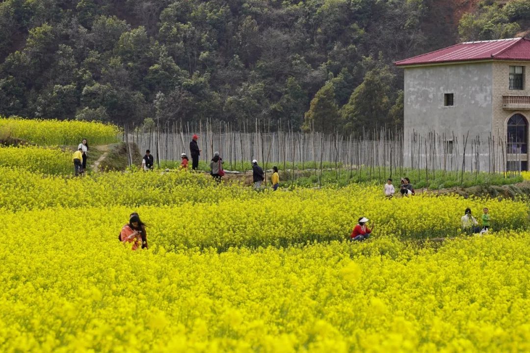 晋宁 诗意的栖居地