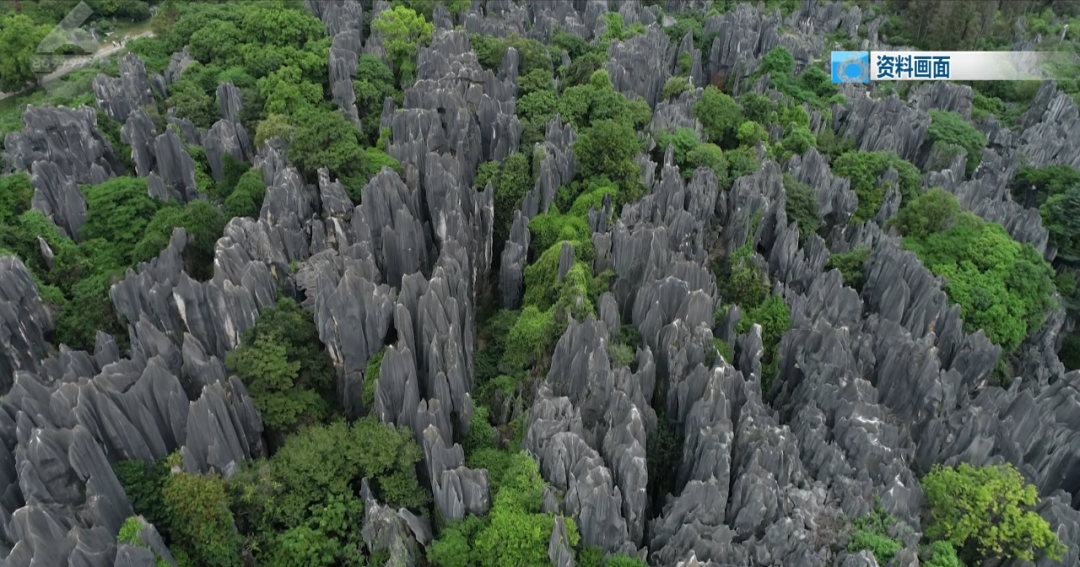 昆明公共文化云