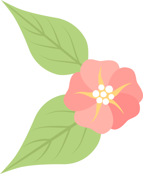 云南省人民政府