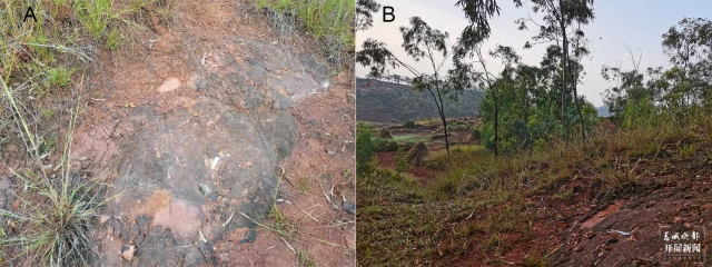 美丽云南微科普