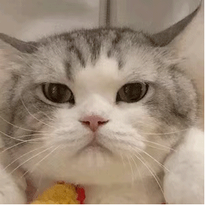 身体缺维B的人易情绪暴躁