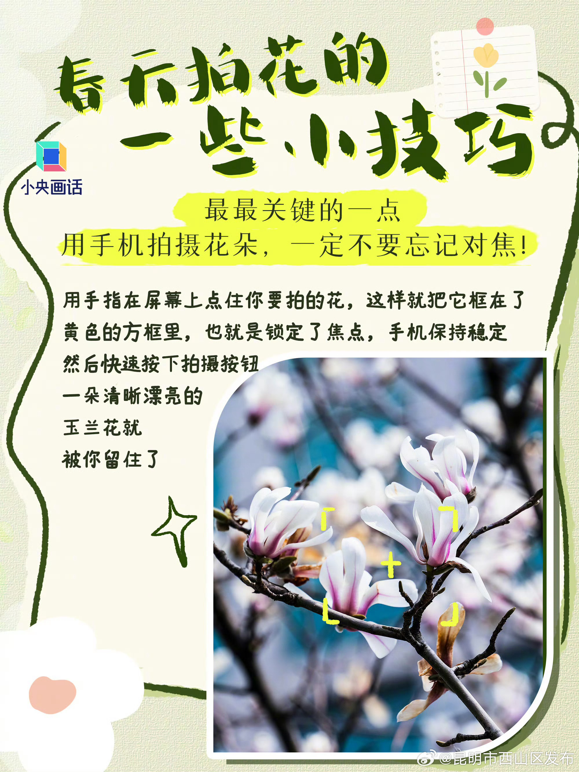 昆明市西山区发布