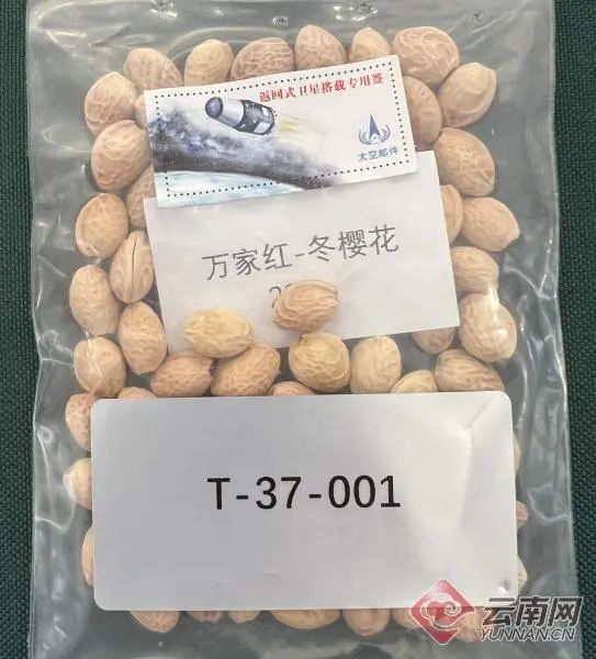 美丽云南微科普