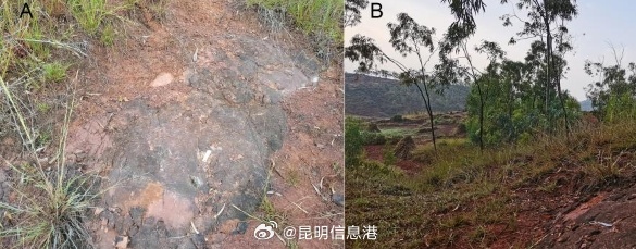 昆明信息港微博