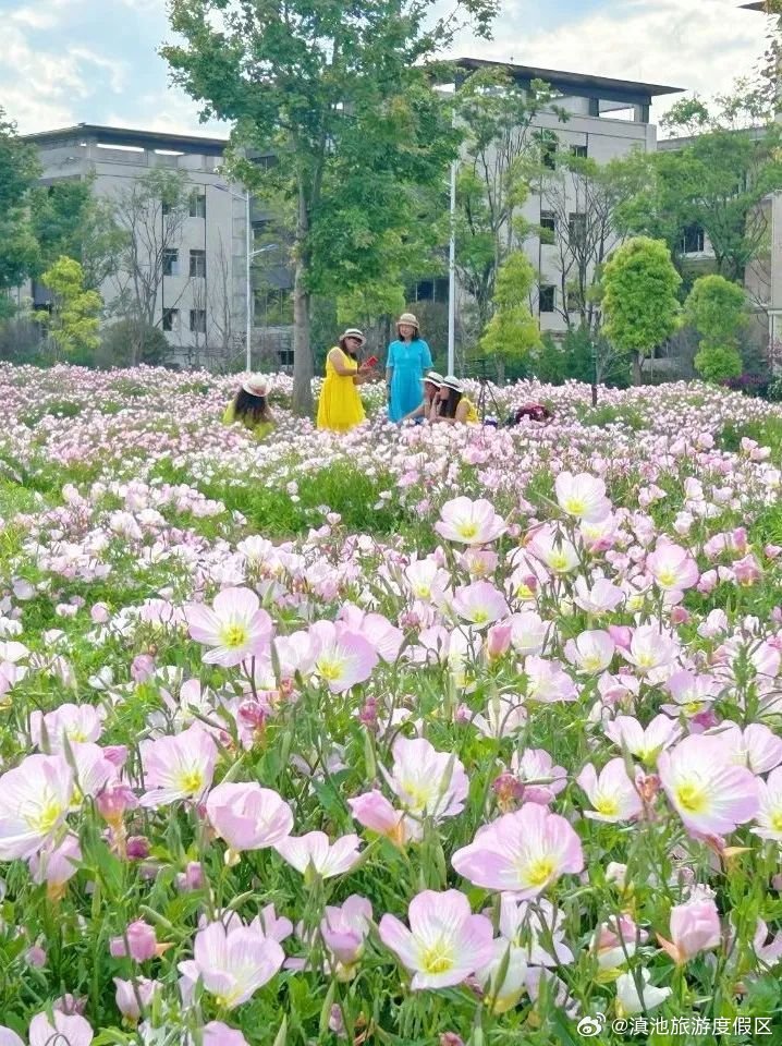 滇池旅游度假区