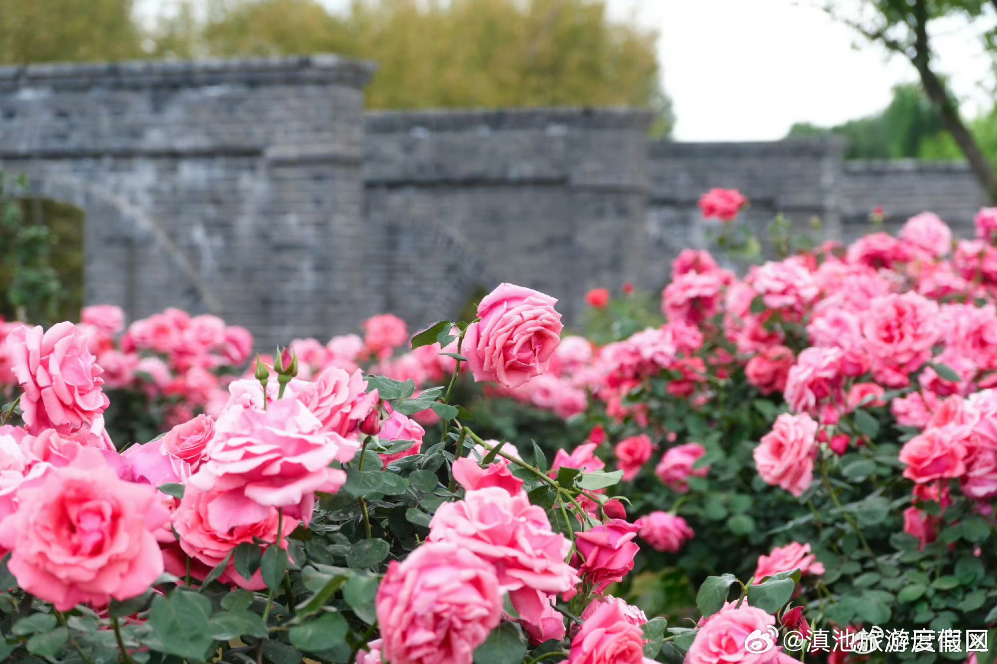 滇池旅游度假区