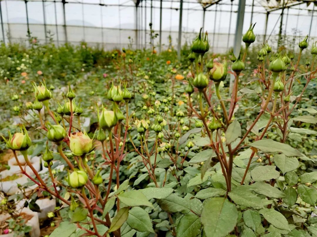 晋宁 诗意的栖居地