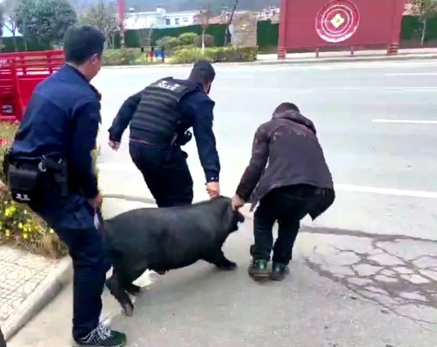 云南丽江警方
