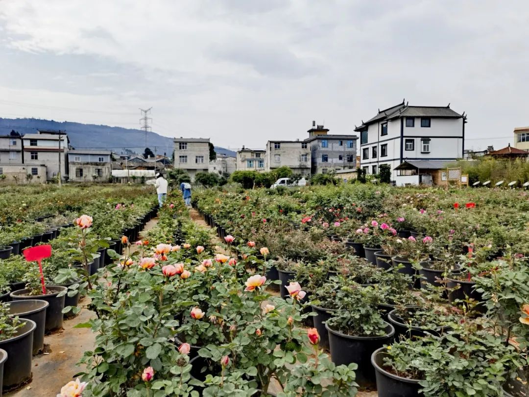 晋宁 诗意的栖居地