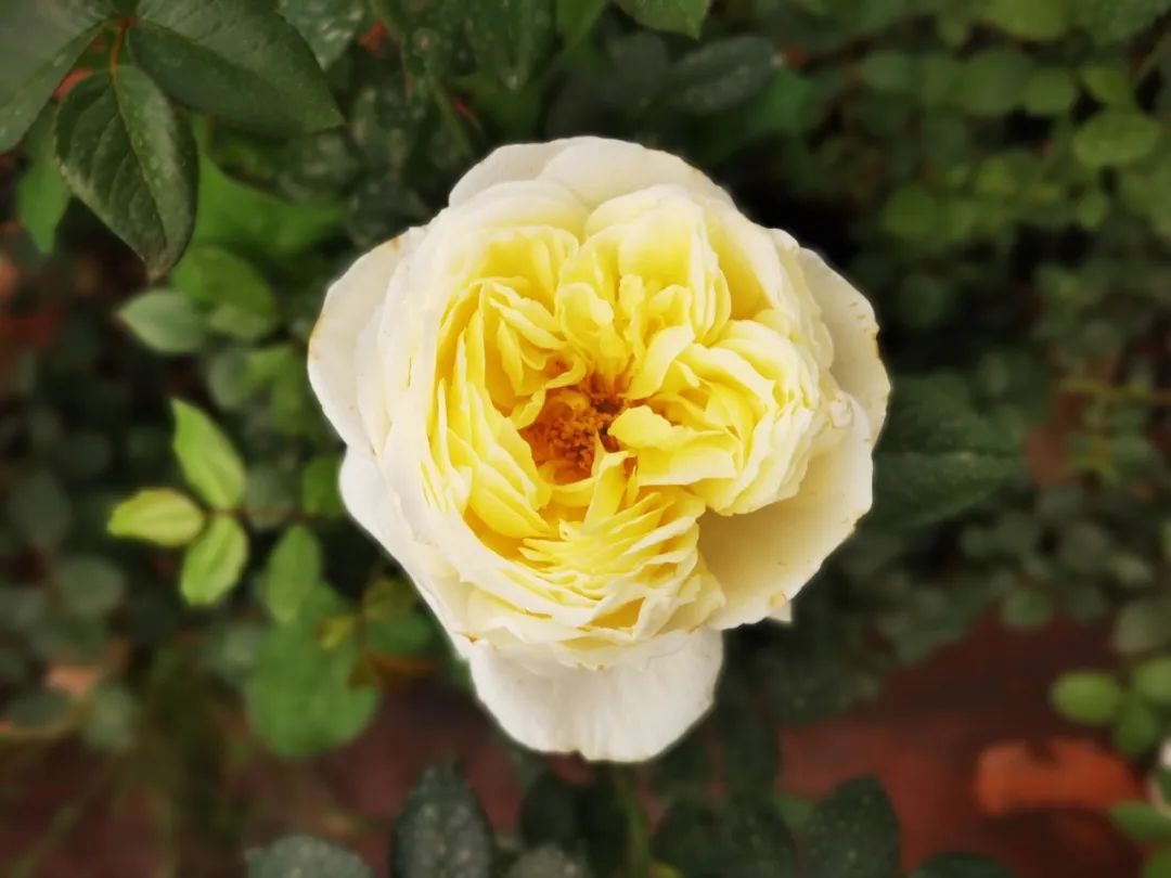 晋宁 诗意的栖居地