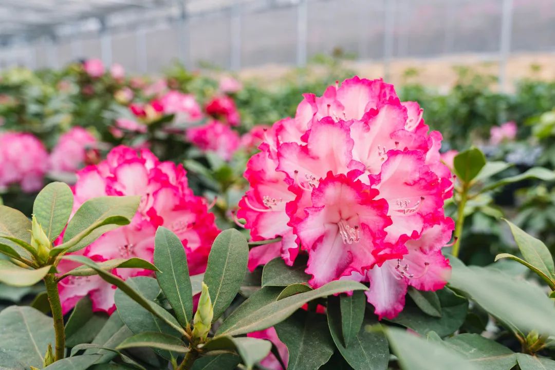 晋宁 诗意的栖居地