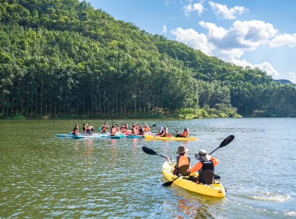 西双版纳望天树景区