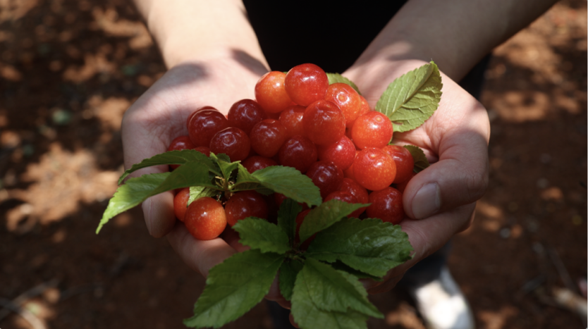 昆明阳宗海风景名胜区