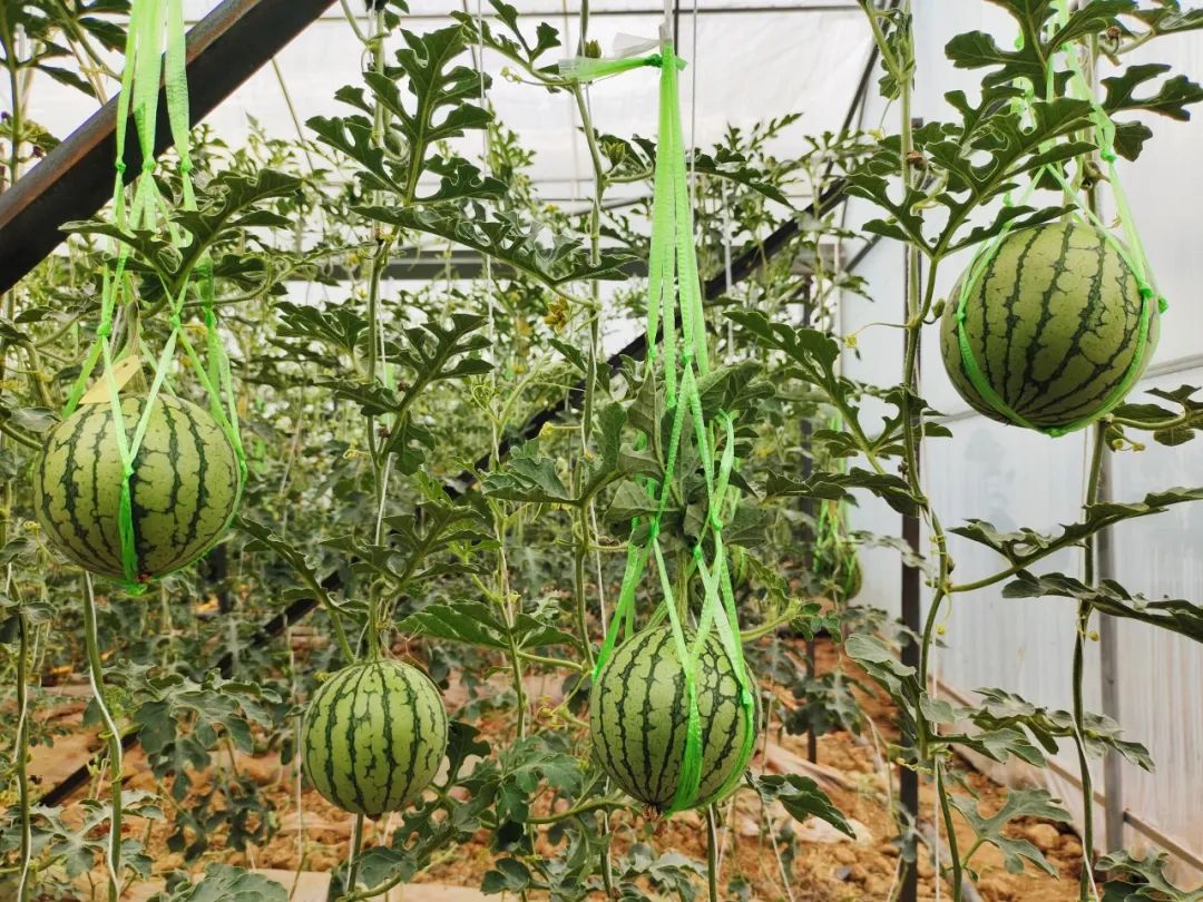 晋宁 诗意的栖居地