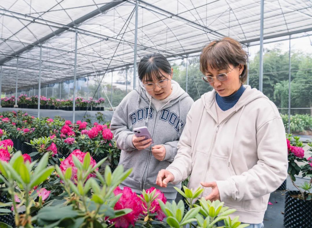 晋宁 诗意的栖居地