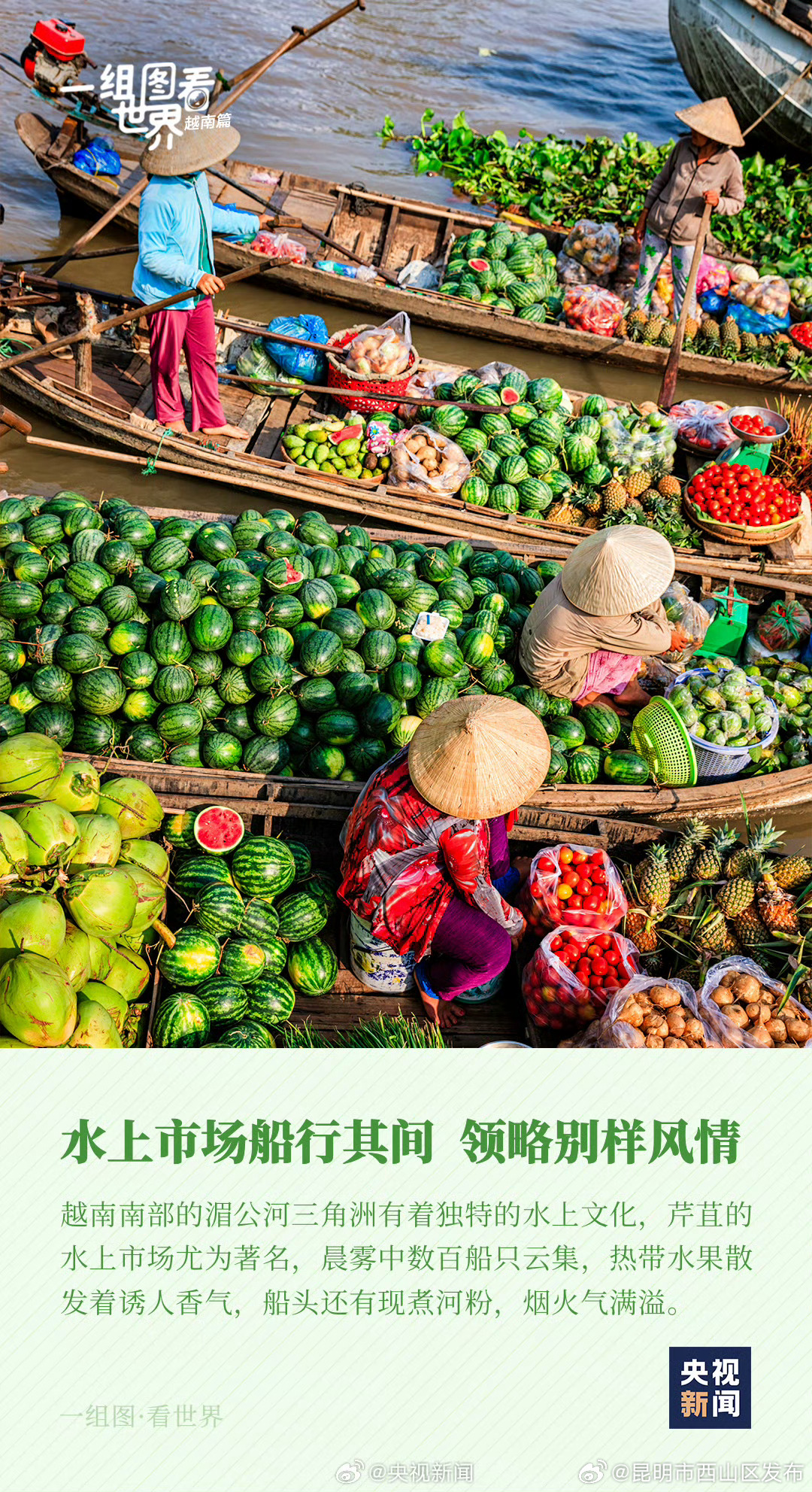 昆明市西山区发布