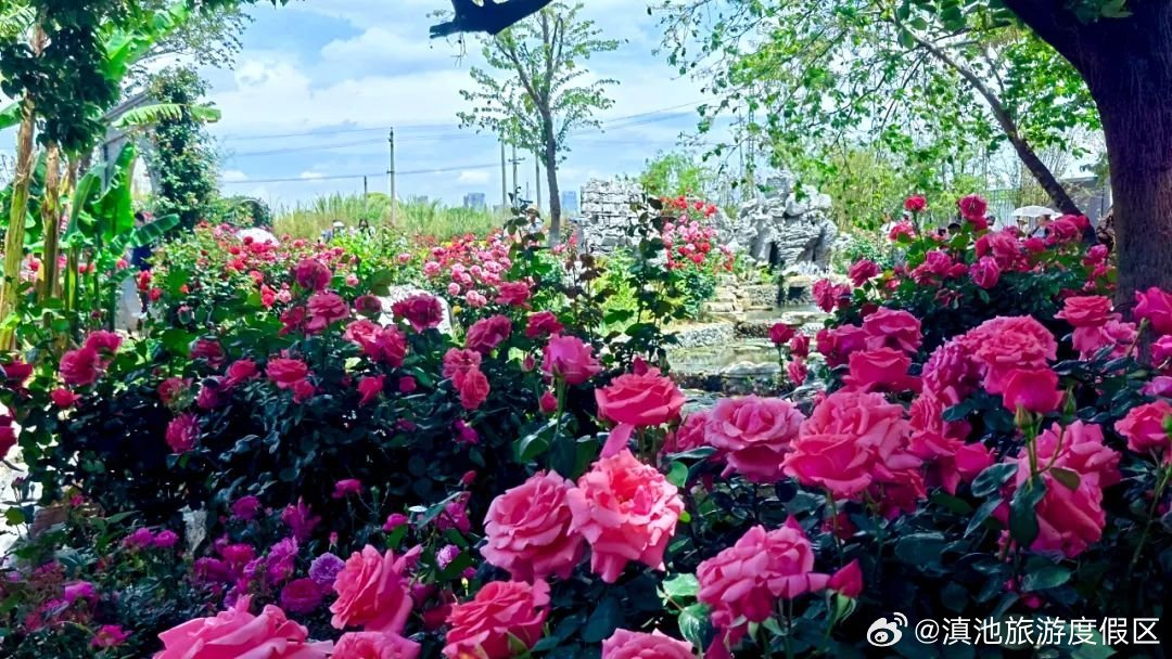 滇池旅游度假区