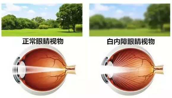 昆明市中医医院