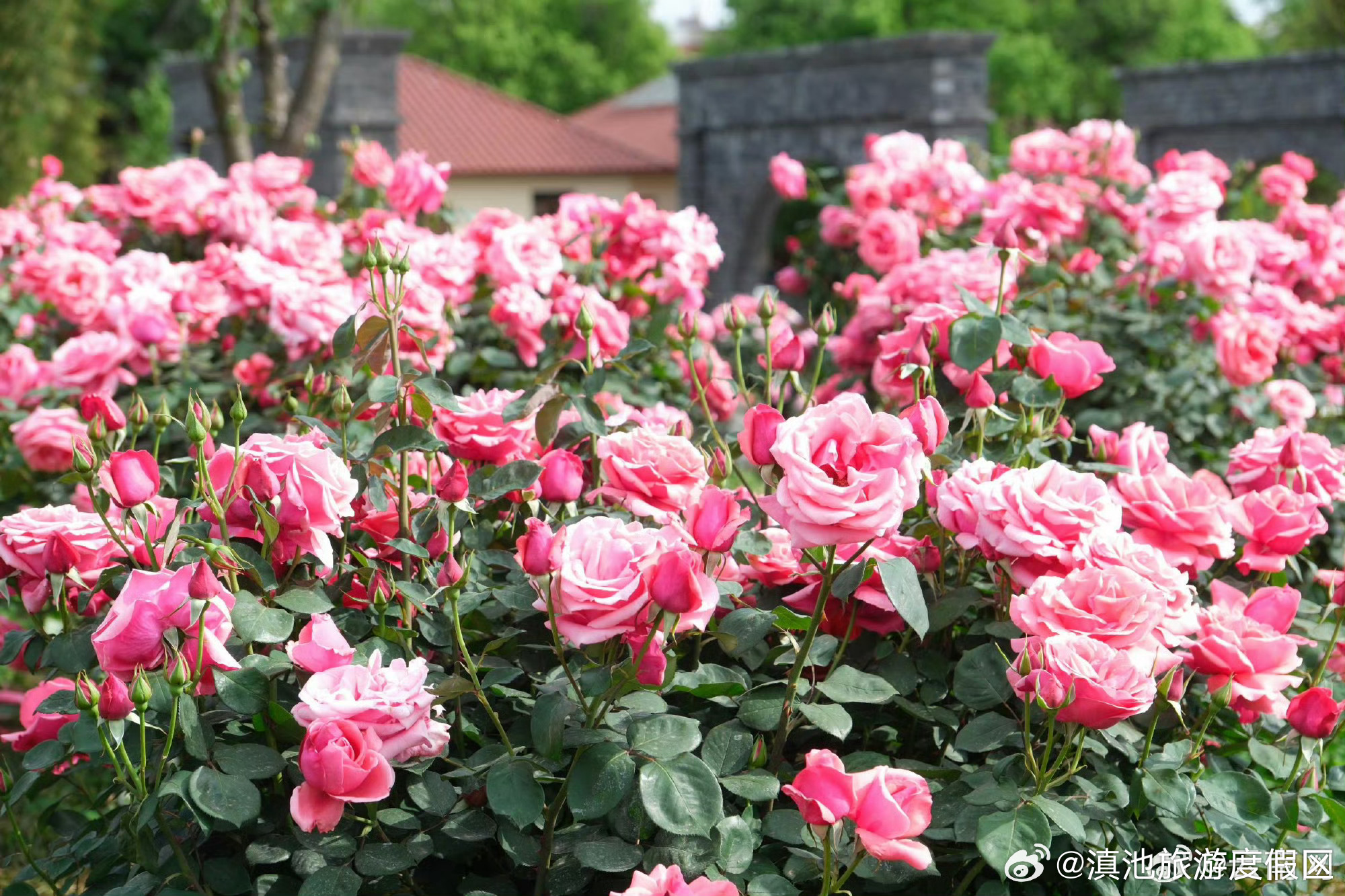 滇池旅游度假区