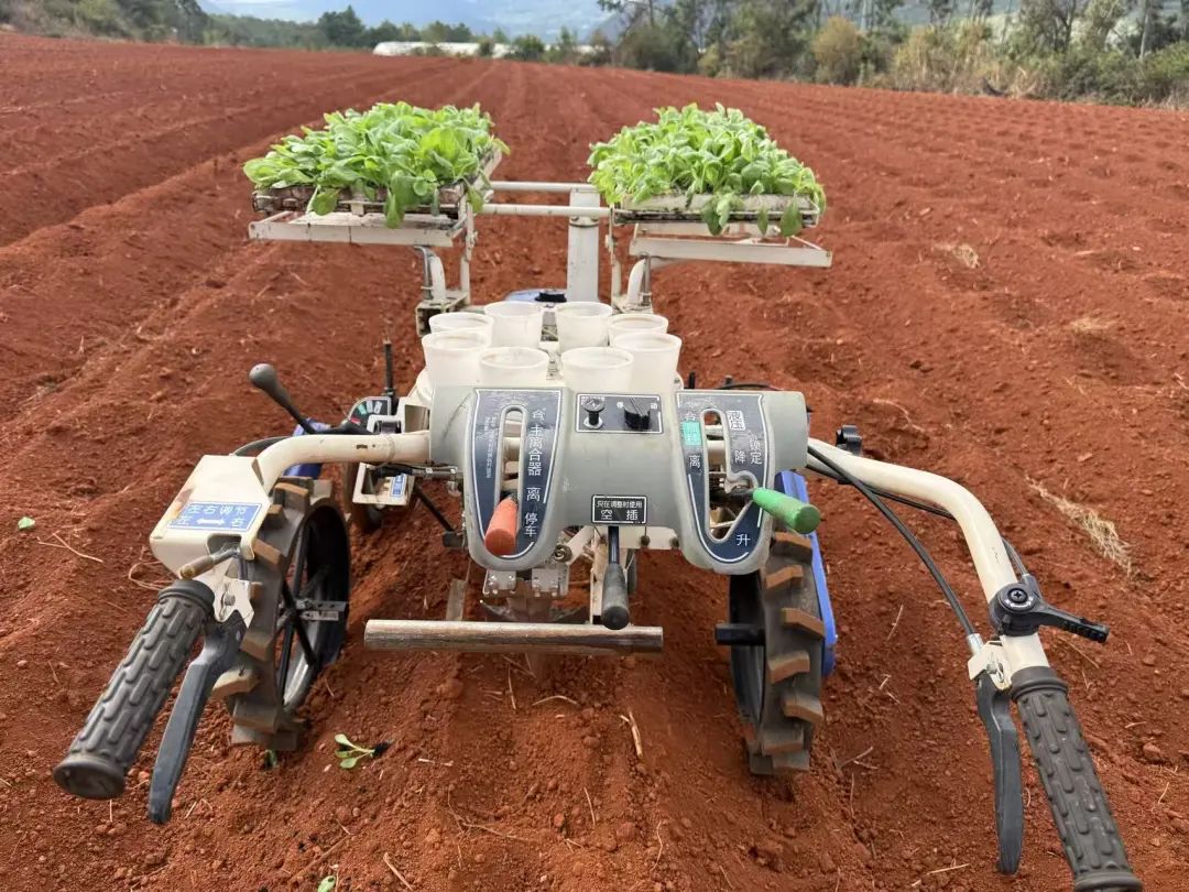 晋宁 诗意的栖居地