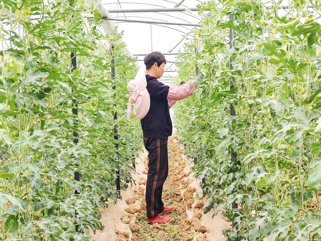 晋宁 诗意的栖居地