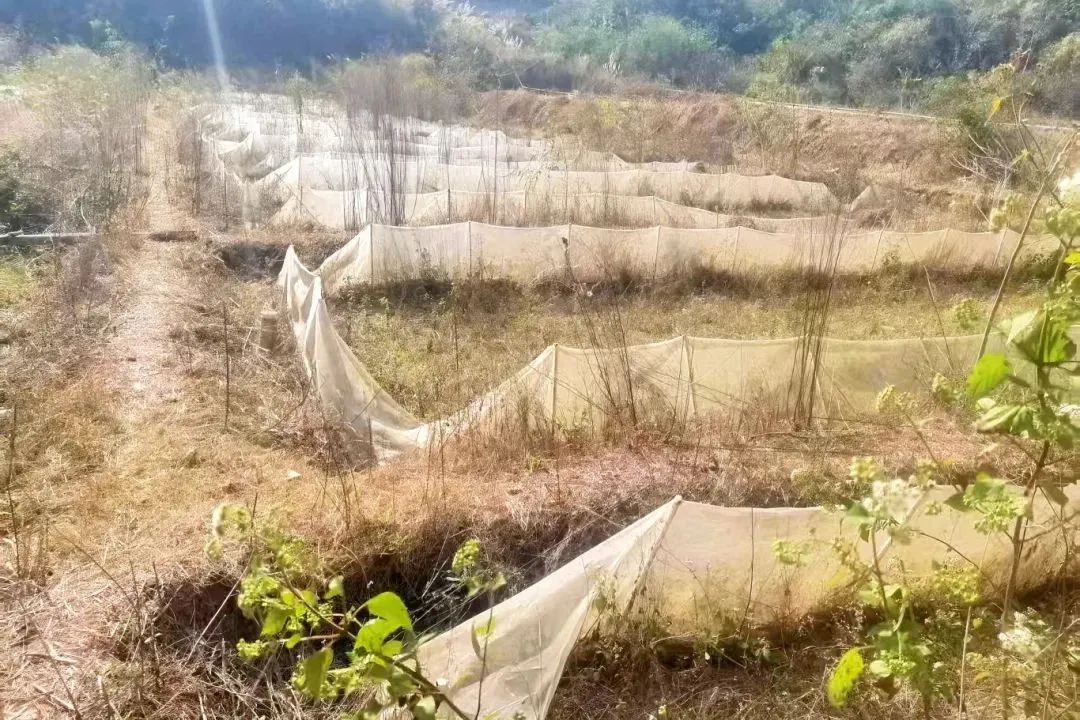 云南省人民检察院