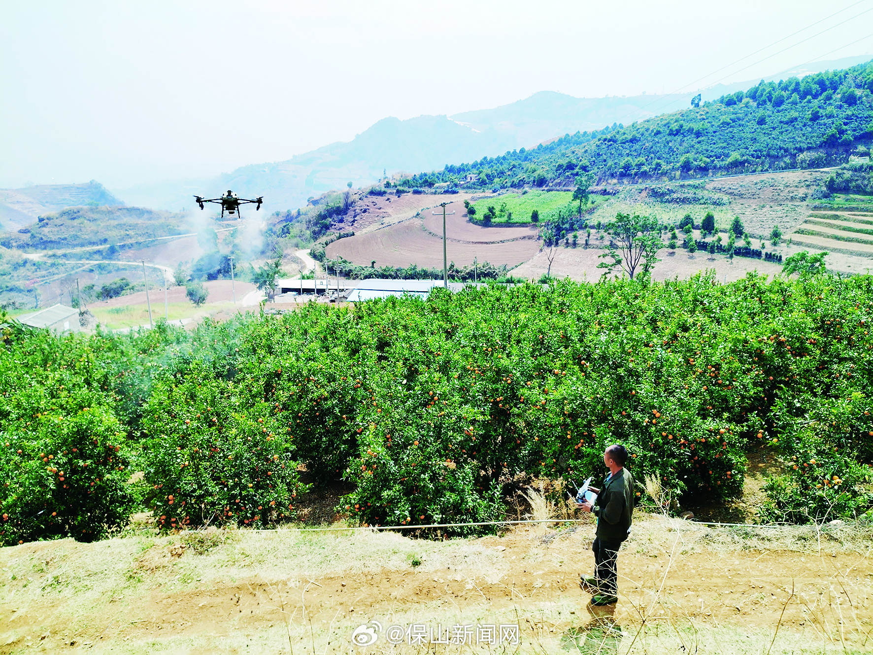 100亩果园年销70万！农民朱国军用上新农具