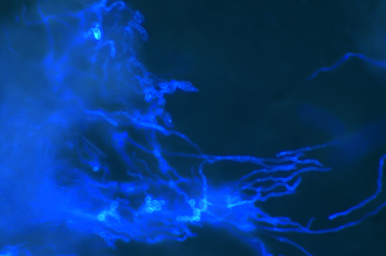 昆明市中医医院