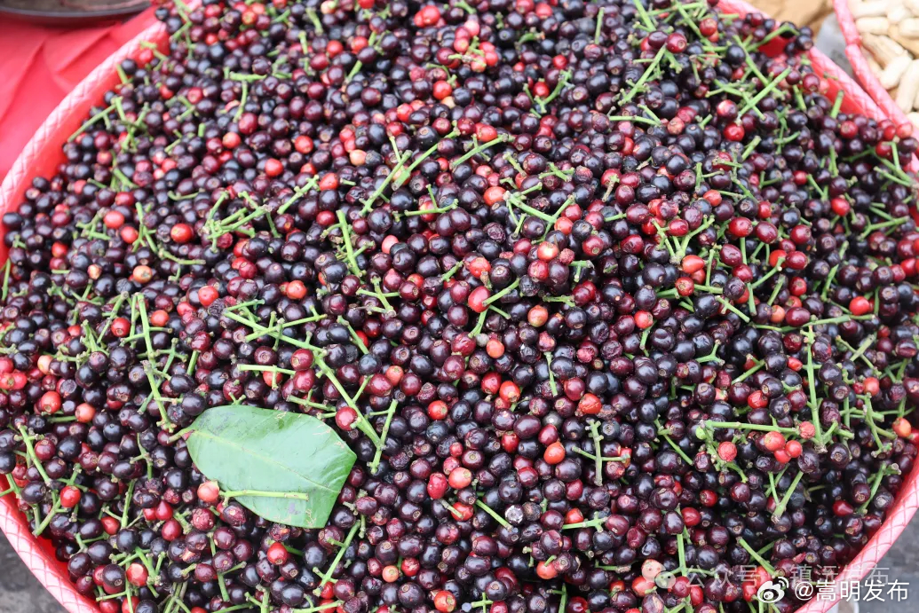 有一种叫云南的生活·旅居云南丨酸甜“泡木果” 蘸椒才够味