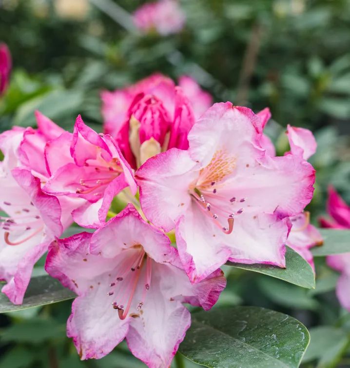 晋宁 诗意的栖居地