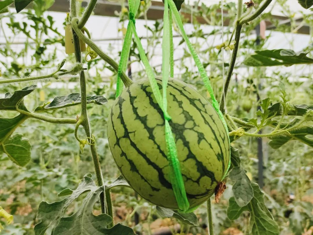 晋宁 诗意的栖居地