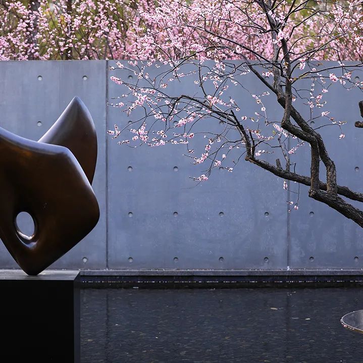 云南省第三人民医院