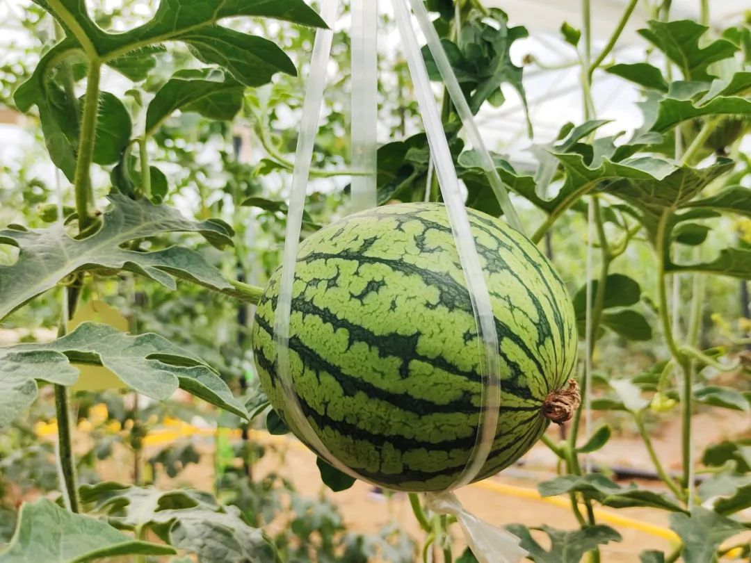 晋宁 诗意的栖居地